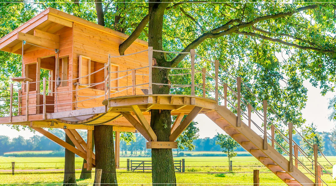 Que tal construir uma casa na árvore para seus filhos?