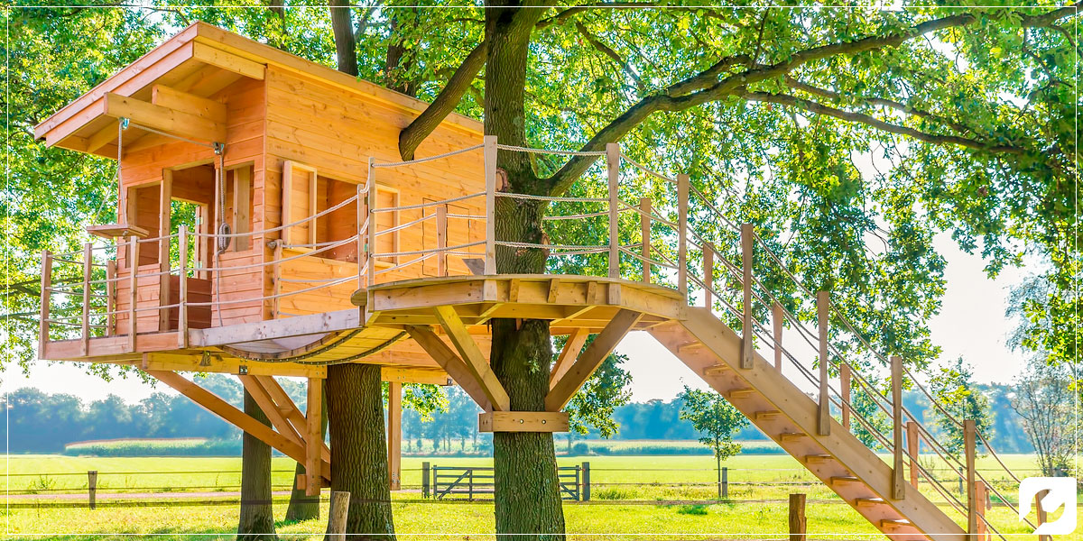 Que tal construir uma casa na árvore para seus filhos?