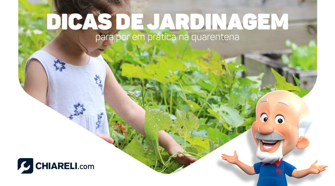 Dicas de jardinagem para por em prática na quarentena